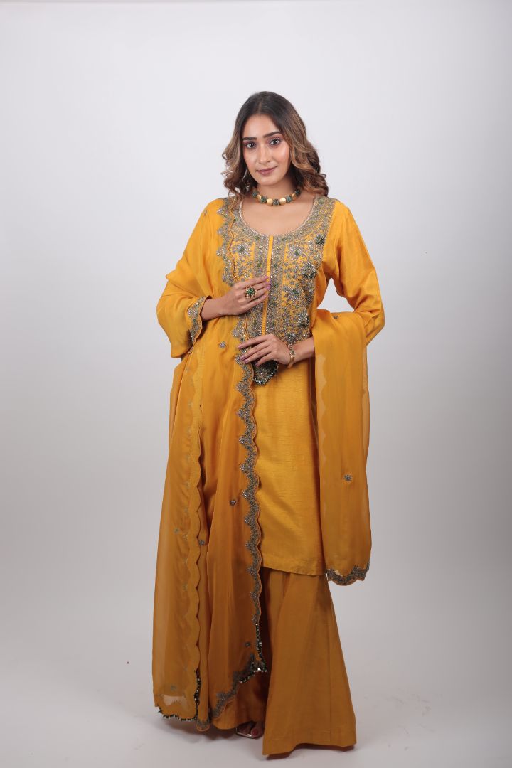 Aarza Embroidered Palazzo Set